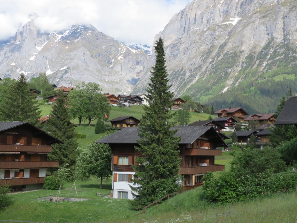 Mom - Alpine Boutique Apartments, Romantica, Near Grindelwald Terminal Kültér fotó
